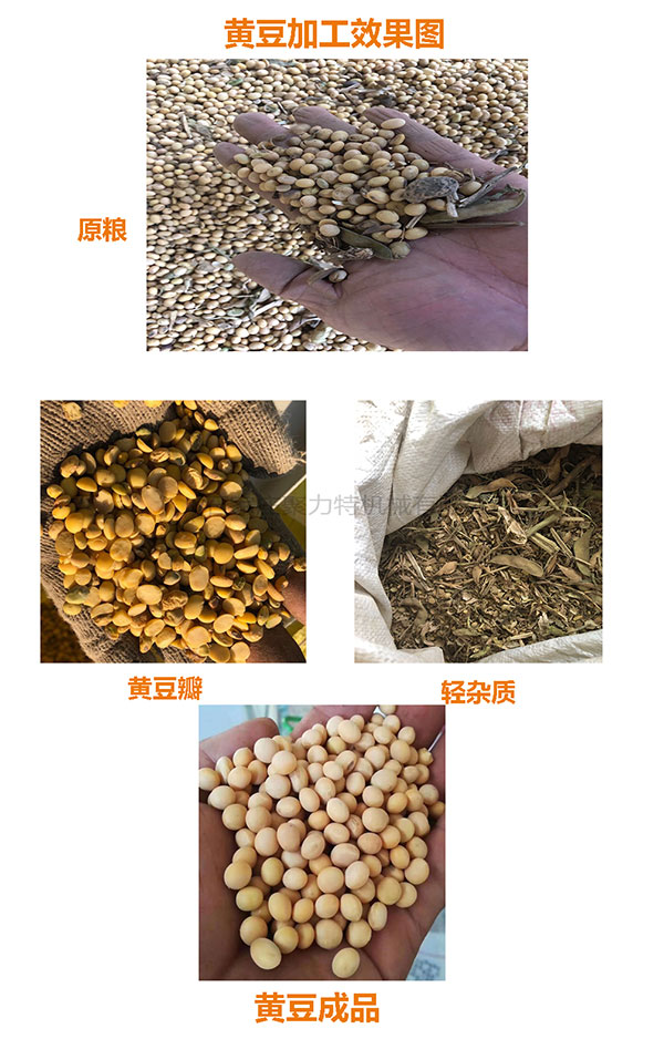 1590032733609689.jpg 黃豆效果圖.jpg