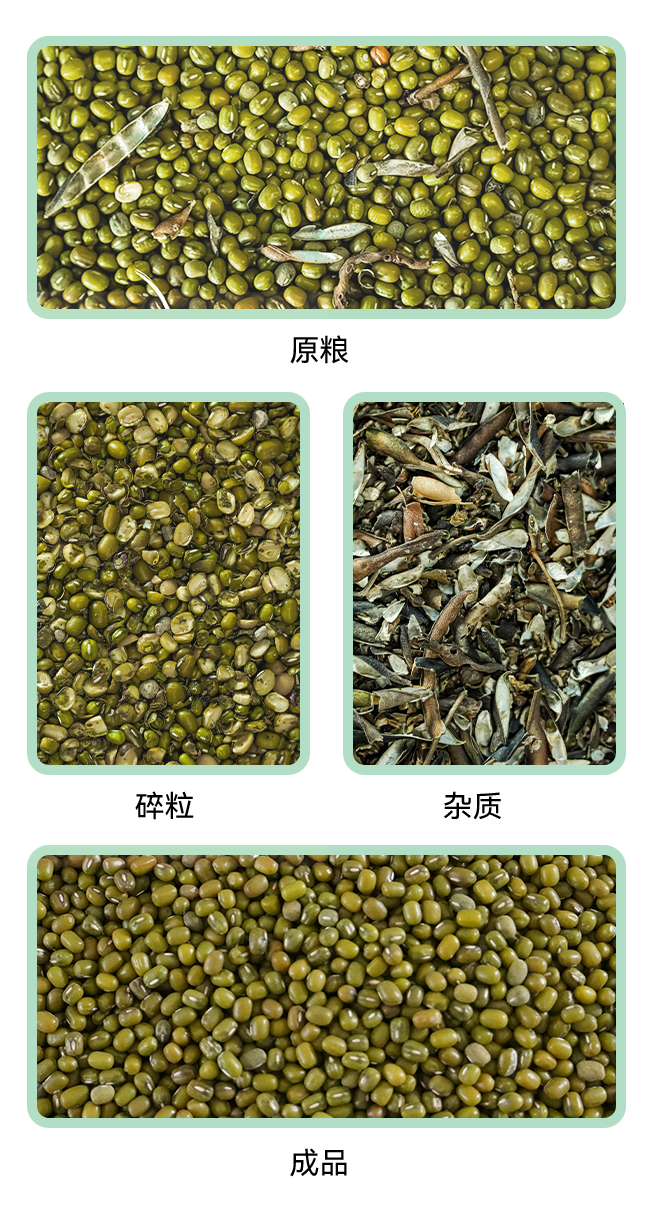 1769415858189088.jpg 風篩清選機小程序.jpg